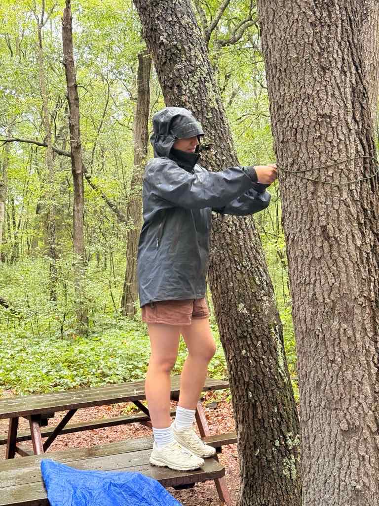 Narges in a rain jacket, standing on a picnic table to tie a ridgeline around a tree trunk in a wet green forest.